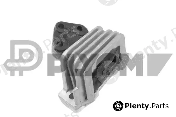 Plyom P756055 — Mounting, engine