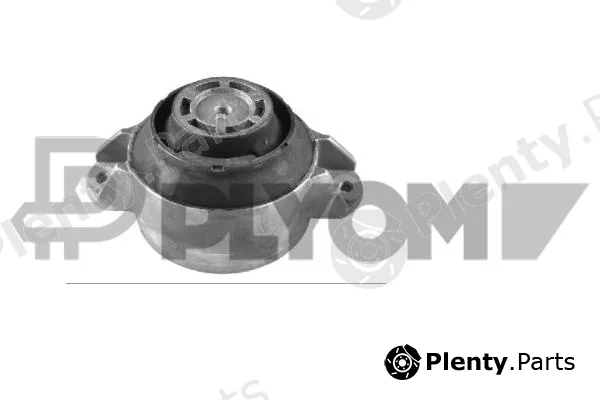 Plyom P775838 — Mounting, engine