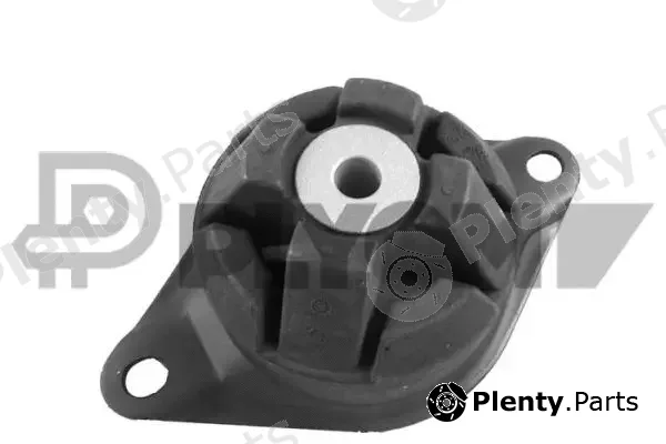 Plyom P766888 — Mounting, engine