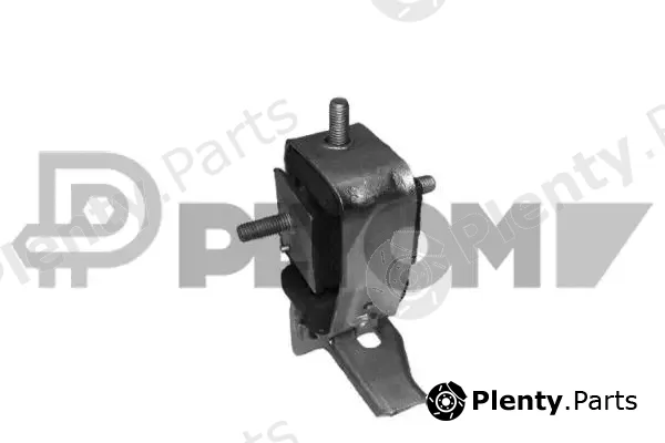 Plyom P755950 — Mounting, engine
