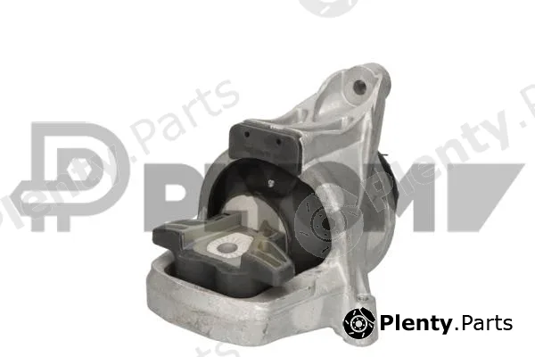 Plyom P776423 — Mounting, engine