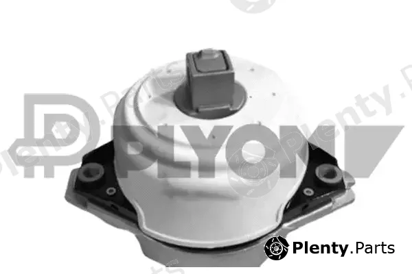 Plyom P771553 — Mounting, engine