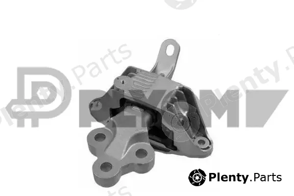 Plyom P756303 — Mounting, engine
