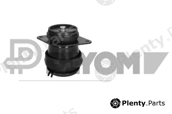 Plyom P775193 — Mounting, engine