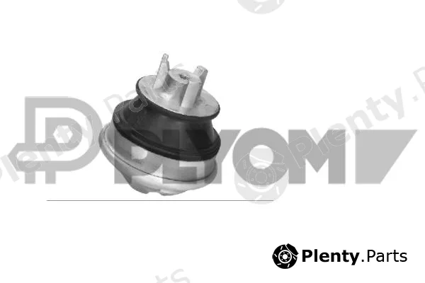 Plyom P180196 — Mounting, engine