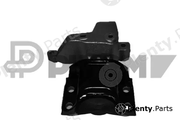 Plyom P021339 — Mounting, engine