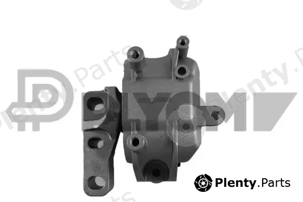 Plyom P769339 — Mounting, engine
