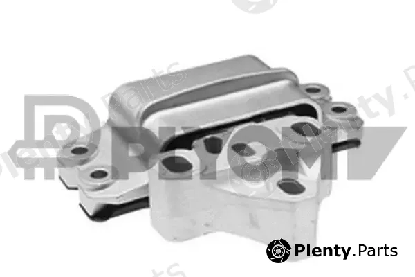 Plyom P756313 — Mounting, engine