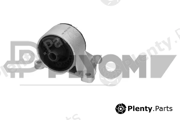 Plyom P480482 — Mounting, engine