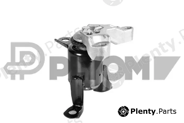 Plyom P755951 — Mounting, engine