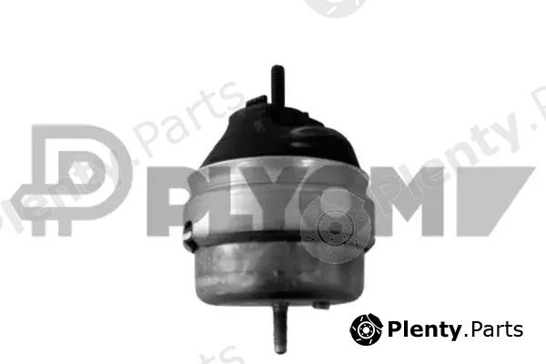 Plyom P772441 — Mounting, engine