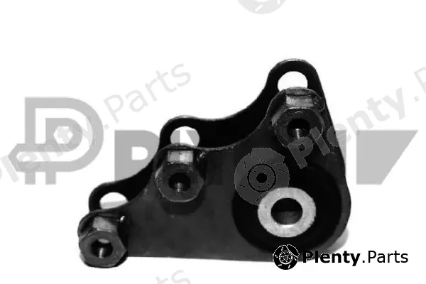 Plyom P756066 — Mounting, engine