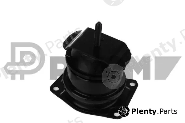 Plyom P756520 — Mounting, engine