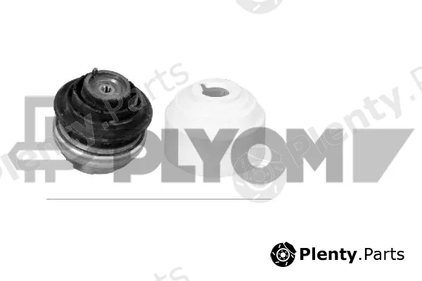 Plyom P776213 — Mounting, engine