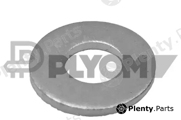 Plyom P760355 — Seal Ring, injector
