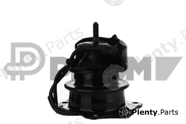 Plyom P756516 — Mounting, engine