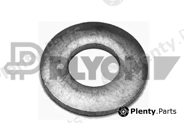 Plyom P769266 — Seal Ring, injector