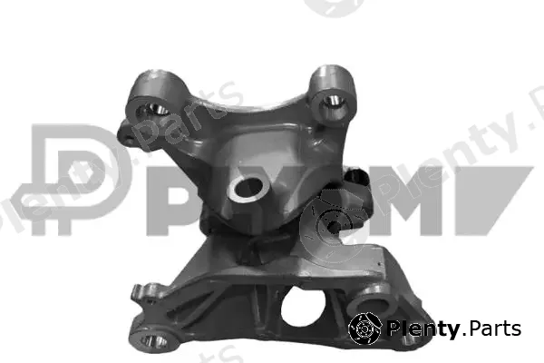 Plyom P769501 — Mounting, engine