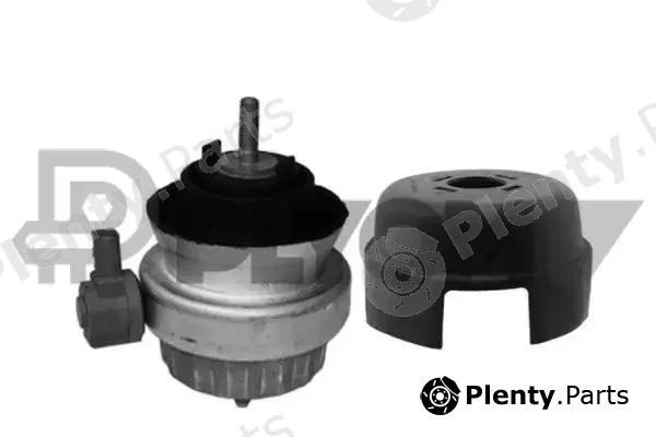 Plyom P756274 — Mounting, engine