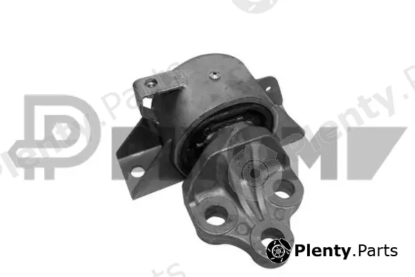 Plyom P755957 — Mounting, engine