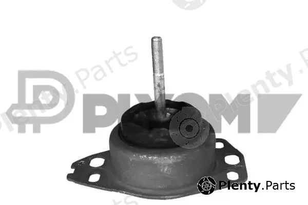 Plyom P756113 — Mounting, engine