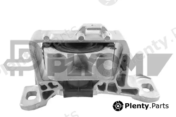Plyom P759731 — Mounting, engine