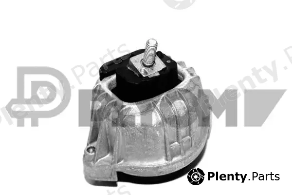 Plyom P756150 — Mounting, engine
