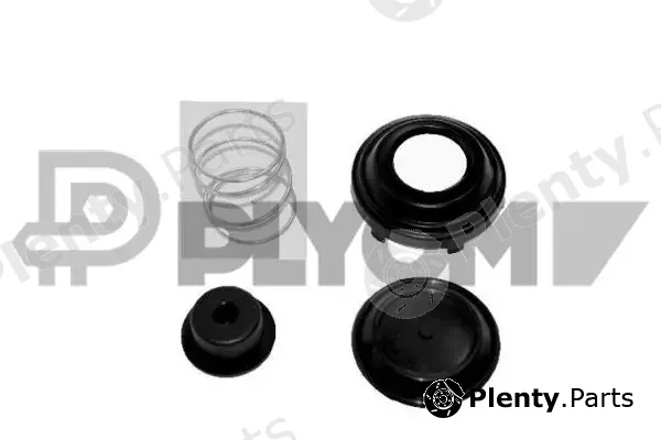 Plyom P750255 — Fuel Filter
