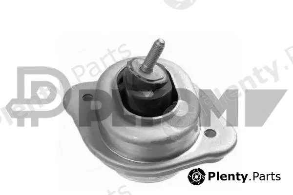 Plyom P756159 — Mounting, engine