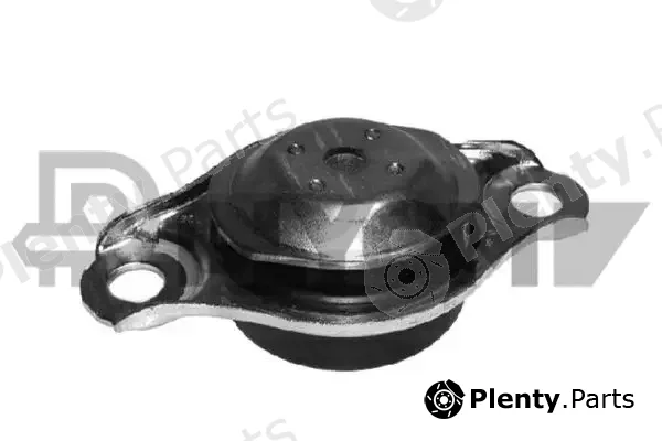 Plyom P756093 — Mounting, engine