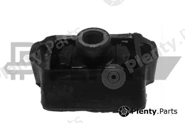 Plyom P030222 — Mounting, engine