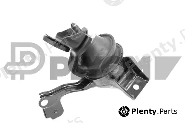 Plyom P770973 — Mounting, engine