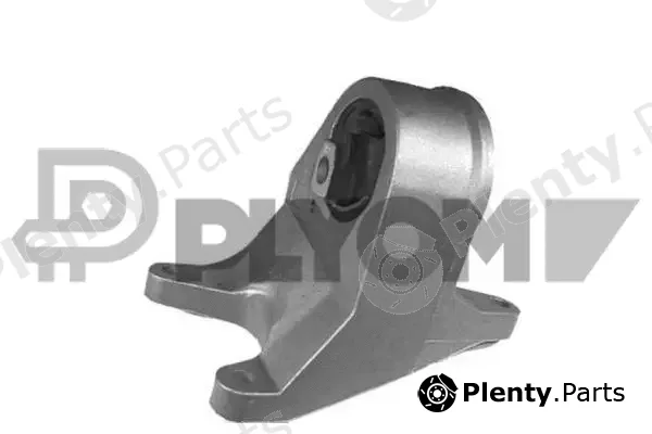 Plyom P756029 — Mounting, engine