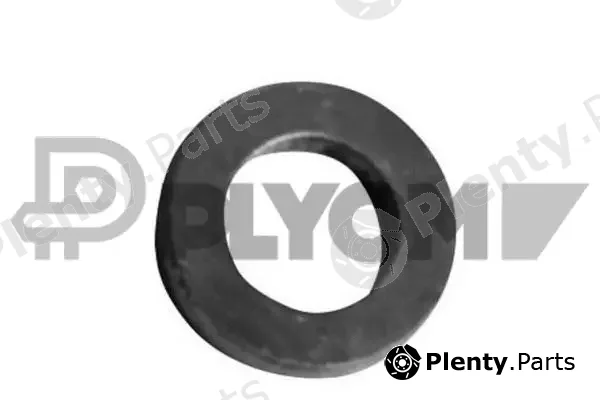 Plyom P750024 — Seal Ring, injector
