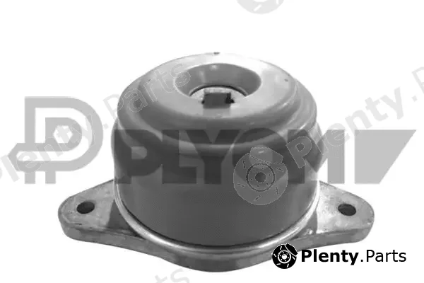 Plyom P755980 — Mounting, engine