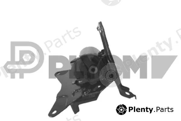 Plyom P760156 — Mounting, engine