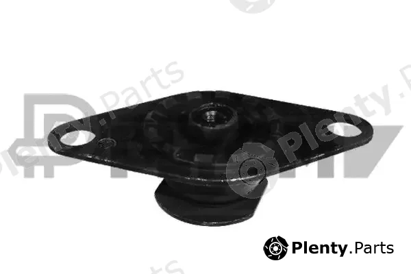 Plyom P010599 — Mounting, engine