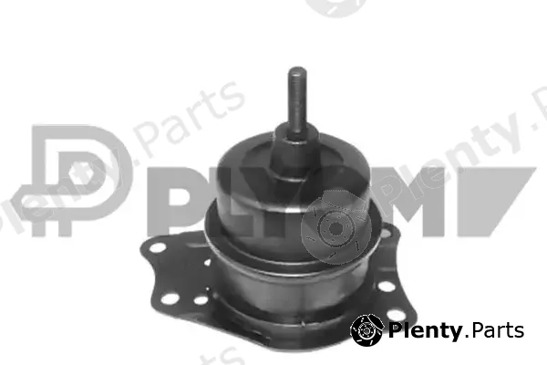 Plyom P462477 — Mounting, engine