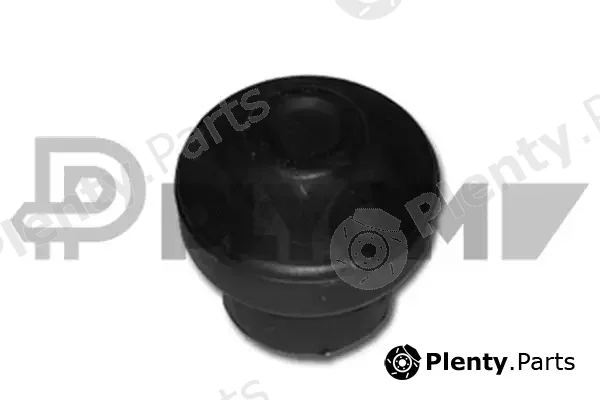 Plyom P460161 — Mounting, engine