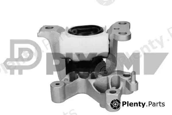 Plyom P770450 — Mounting, engine