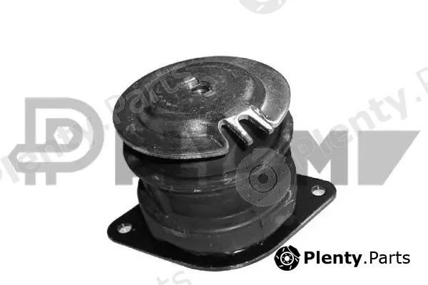 Plyom P460155 — Mounting, engine