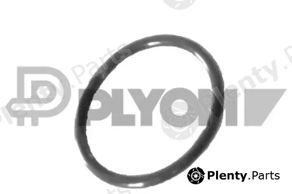 Plyom P758519 — Gasket, coolant pipe