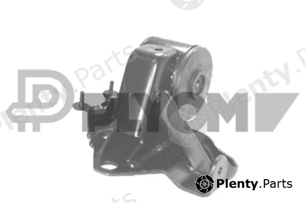 Plyom P760139 — Mounting, engine
