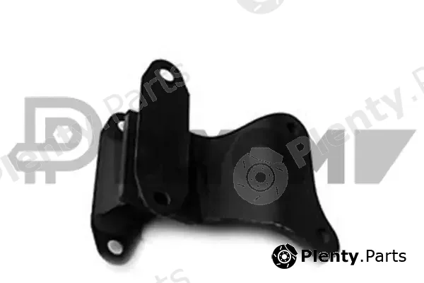 Plyom P011200 — Mounting, engine