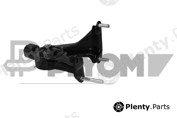 Plyom P776033 — Mounting, engine