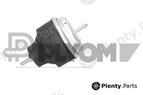 Plyom P460158 — Mounting, engine