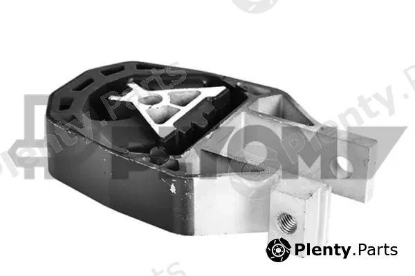 Plyom P755955 — Mounting, engine