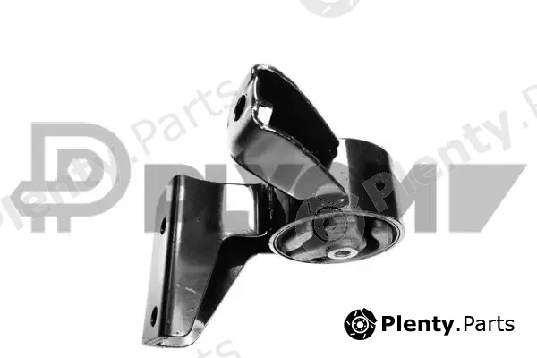 Plyom P756329 — Mounting, engine