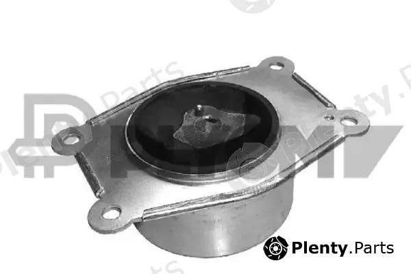 Plyom P480487 — Mounting, engine