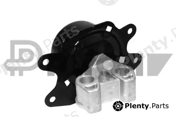 Plyom P481060 — Mounting, engine